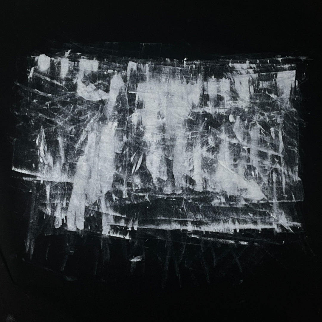 El Rey del Timbal 🥁🇵🇷®️